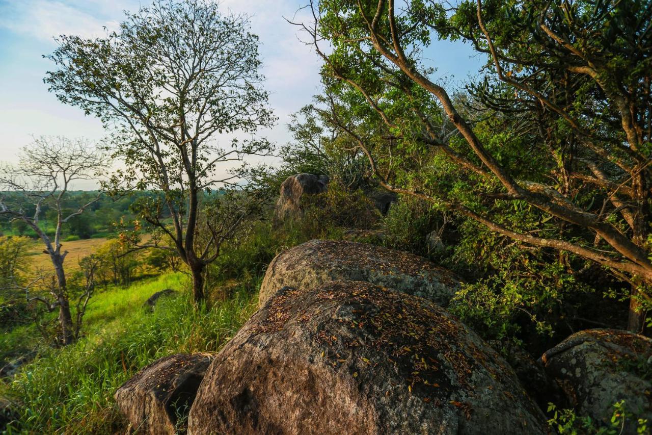 Kaveri Resort 锡吉里亚 外观 照片